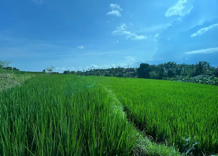 Kari Senja Luxury Villa